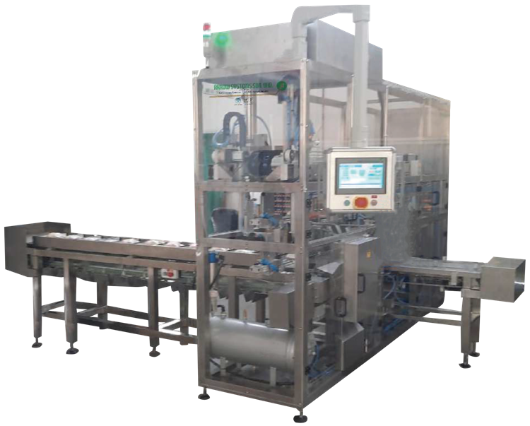 Horizontal whole chicken packaging machine